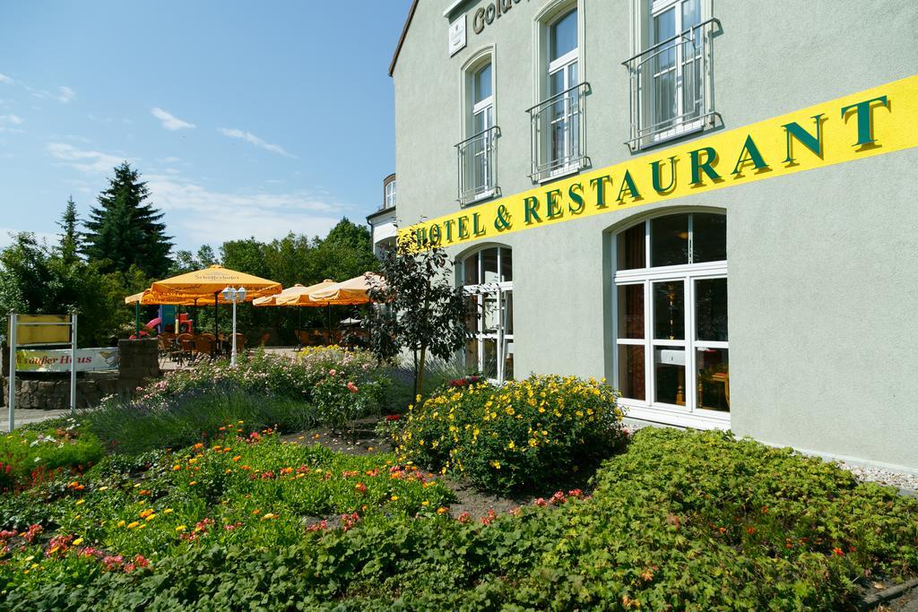 Hotel Goldener Fasan Oranienbaum-Wörlitz Kültér fotó