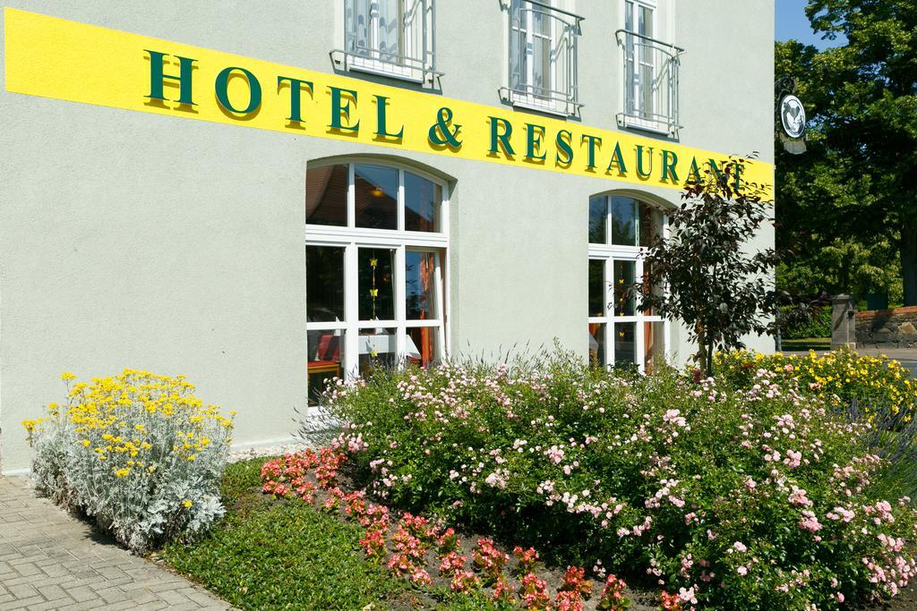 Hotel Goldener Fasan Oranienbaum-Wörlitz Kültér fotó