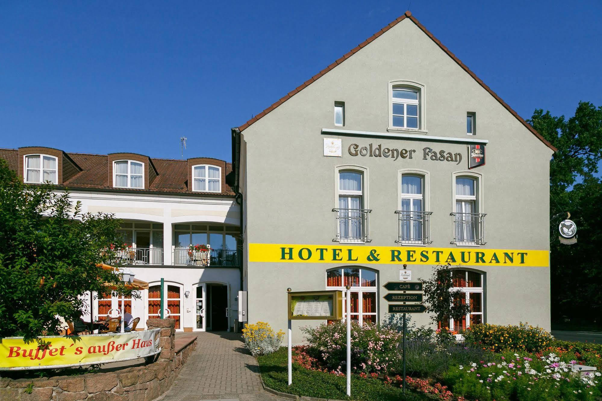 Hotel Goldener Fasan Oranienbaum-Wörlitz Kültér fotó
